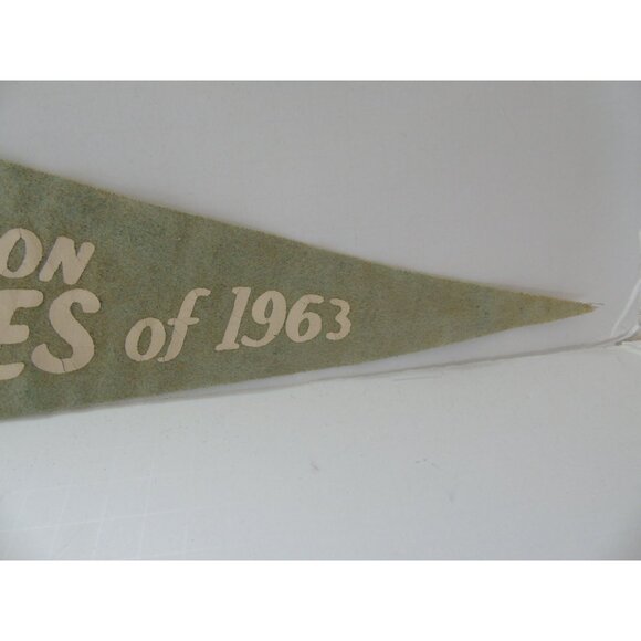 Vintage 1963 Shipstads & Johnson Ice Follies Pennant Green Felt Wall Decor - Picture 6 of 10